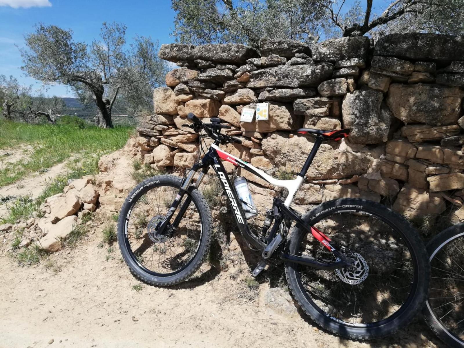 Albergue Las Almunias מראה חיצוני תמונה